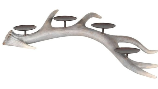 Grey Antler Candle Holder - Decor Interiors -  House & Home