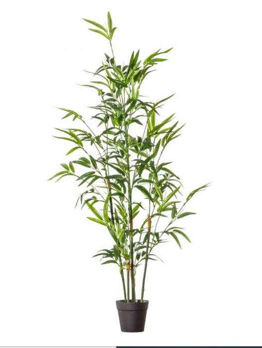 Artificial Bamboo Plant,Pot (Due Back In 07/07/24)