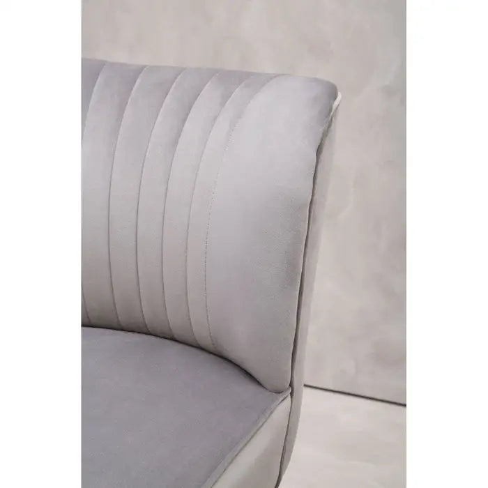 Regents Park Grey Velvet Chair / Accent Chair