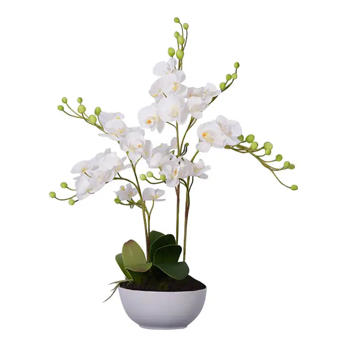Artificial Fiori White Orchid Plant
