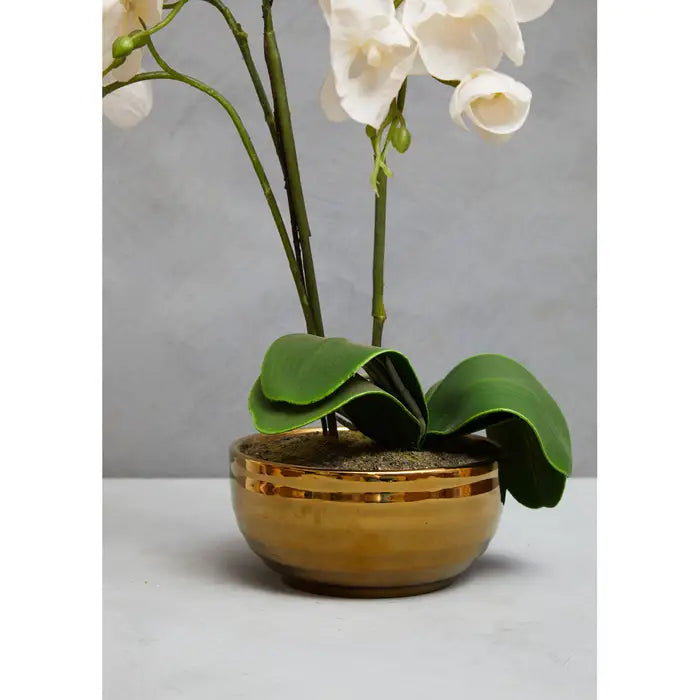 Artificial Fiori White Orchid Plant in Gold Pot