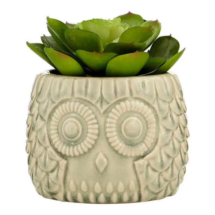 Artificial Fiori Large Succulent in Grey Ceramic Owl Pot