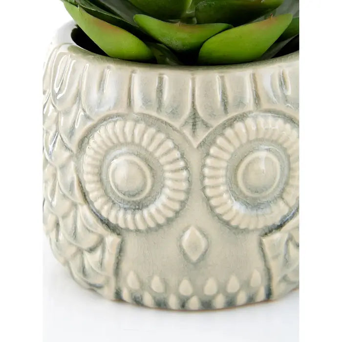 Artificial Fiori Large Succulent in Grey Ceramic Owl Pot