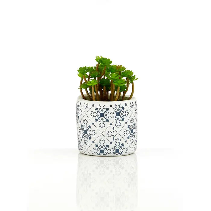 Artificial Fiori Set of 3 Succulents in Henna Ceramic Pots