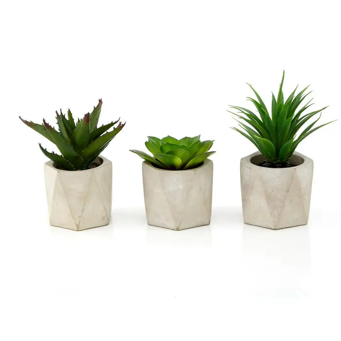 Artificial Fiori Set of 3 Succulents in Geo Cement Pots