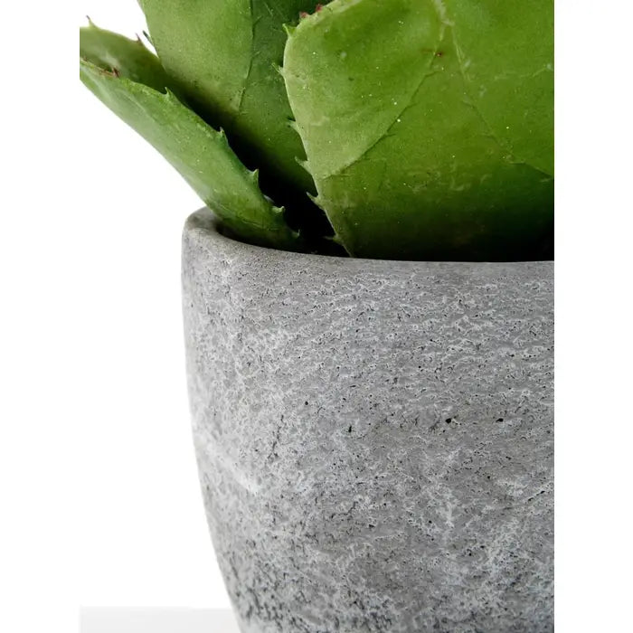 Artificial Fiori Large Succulent with Cement Pot