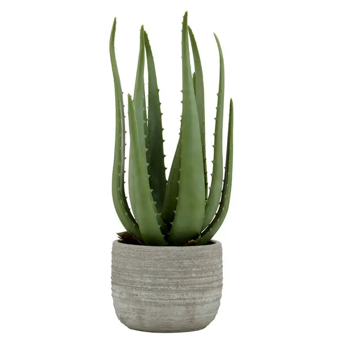 Artificial Fiori Large Aloe Vera with Cement Pot