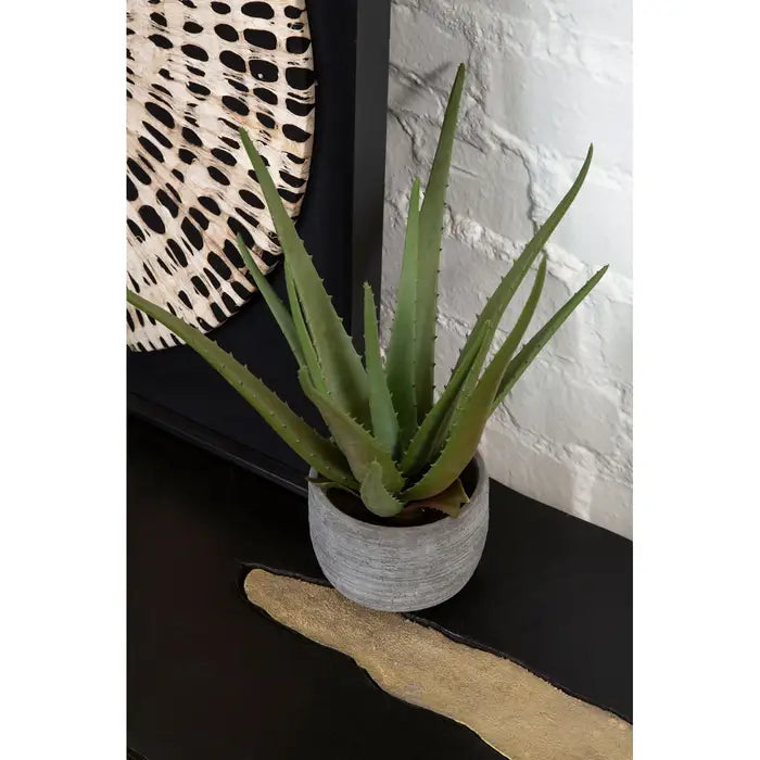 Artificial Fiori Large Aloe Vera with Cement Pot