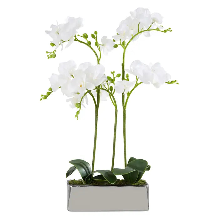 Artificial Fiori White Orchid Plant in Rectangular Pot