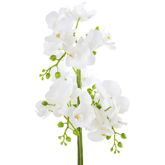 Artificial Fiori White Orchid Plant in Rectangular Pot