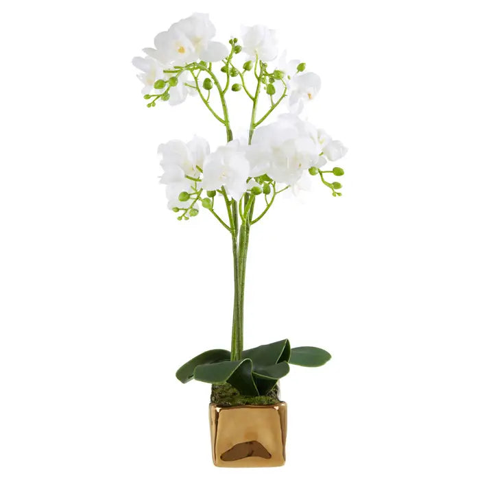 Artificial Fiori White Orchid Plant