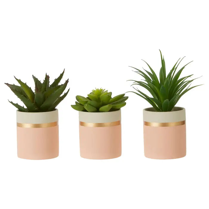 Artificial Fiori Set of 3 Pink Pot Succulents