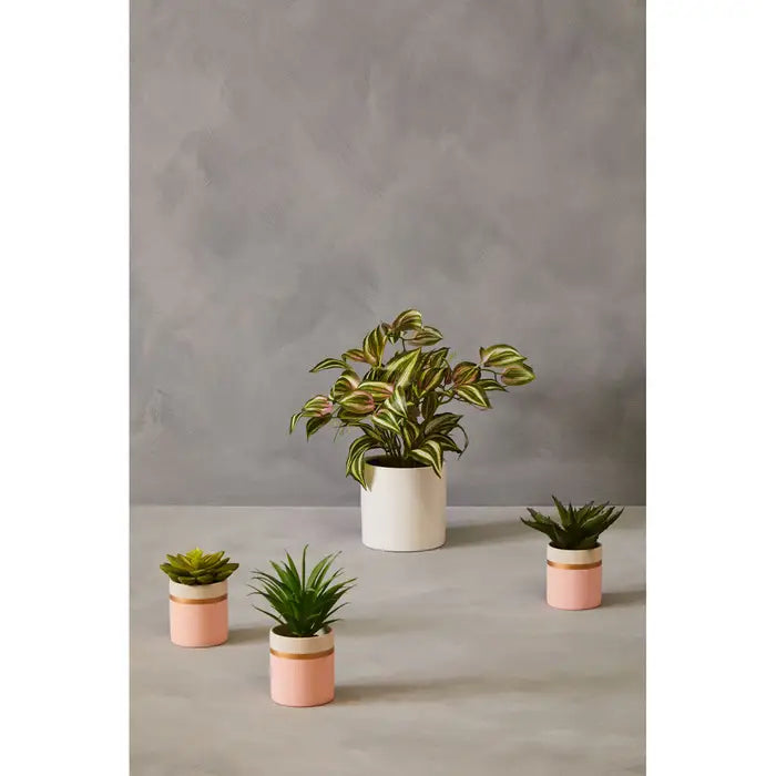 Artificial Fiori Set of 3 Pink Pot Succulents