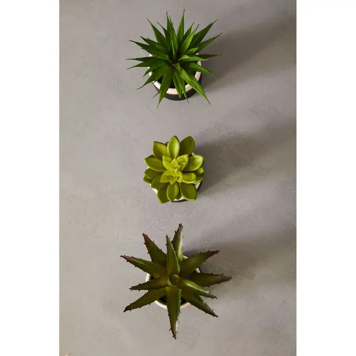 Artificial Fiori Set of 3 Black Pot Succulents