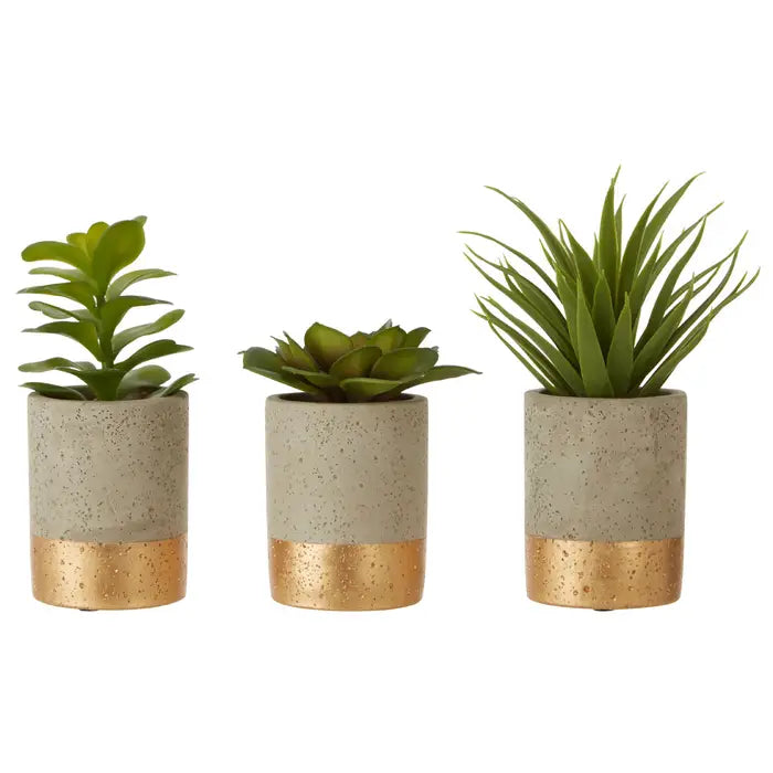 Artificial Fiori Set of 3 Grey Pot Succulents
