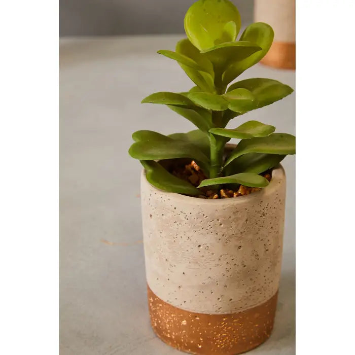 Artificial Fiori Set of 3 Grey Pot Succulents
