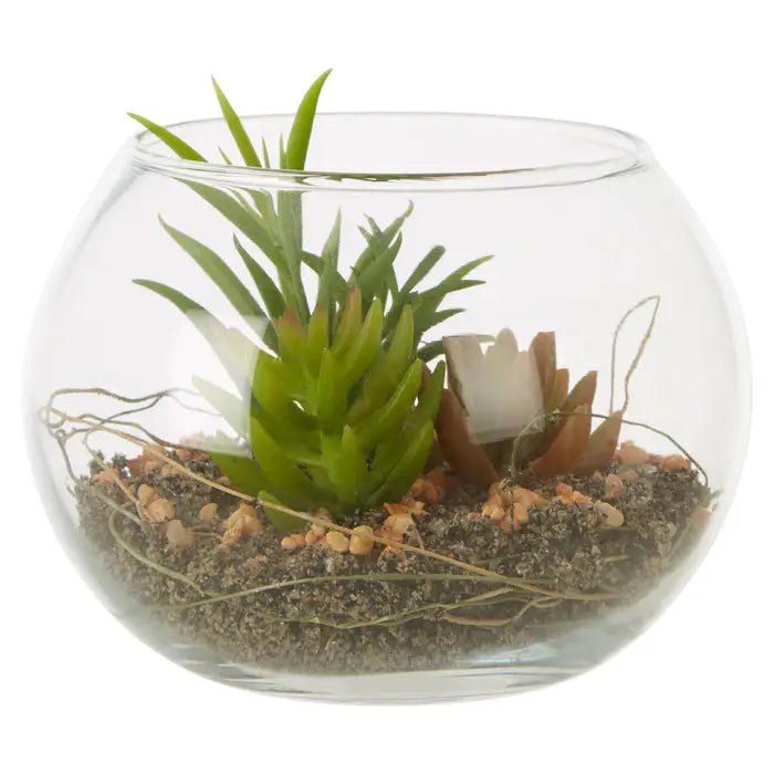 Artificial Fiori Small Glass Pot Mixed Succulent