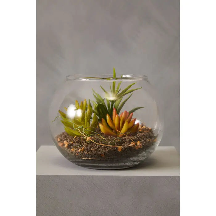 Artificial Fiori Small Glass Pot Mixed Succulent