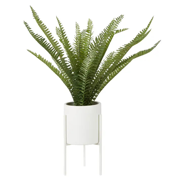 Artificial Fiori Fern with White Cement and Iron Pot