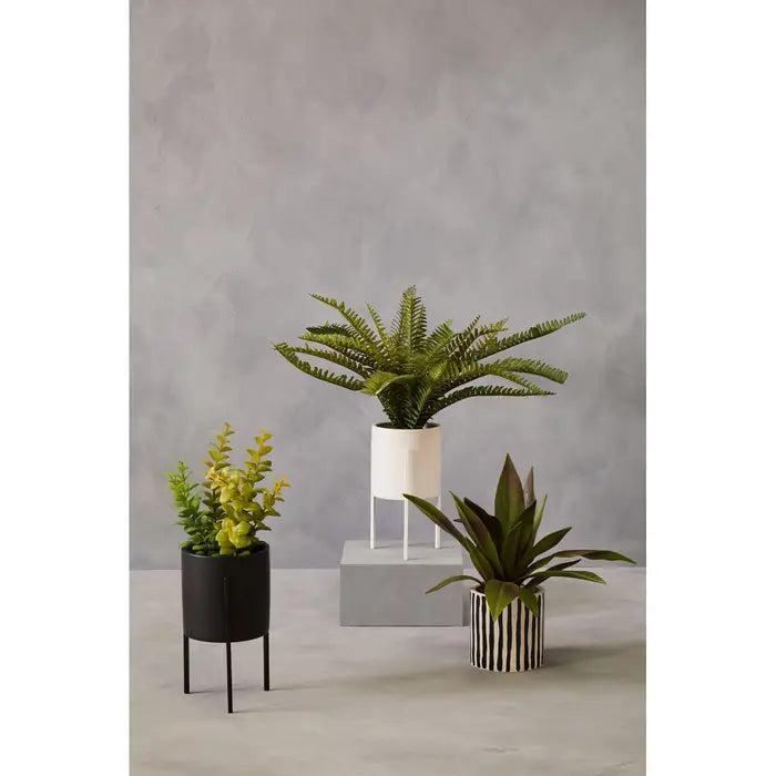 Artificial Fiori Fern with White Cement and Iron Pot