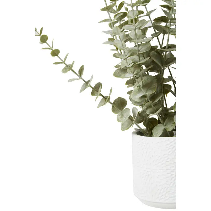 Artificial Fiori Eucalyptus with White Pot