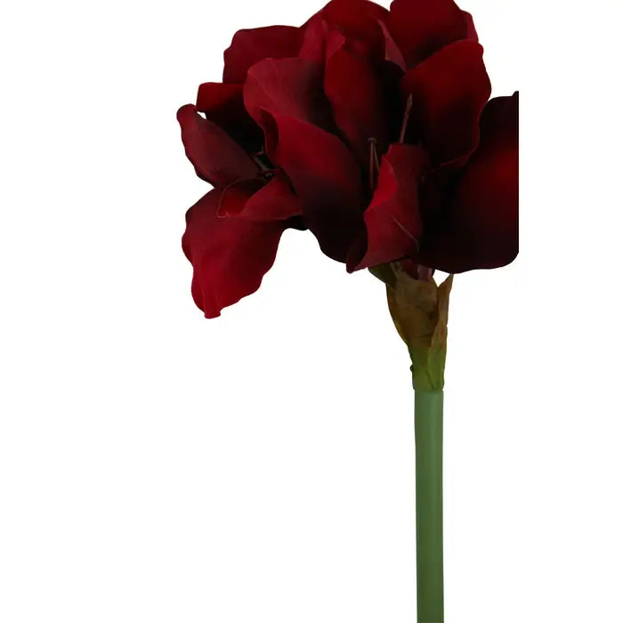Artificial Fiori 72cm Amarylilis Stem Burgundy Flower