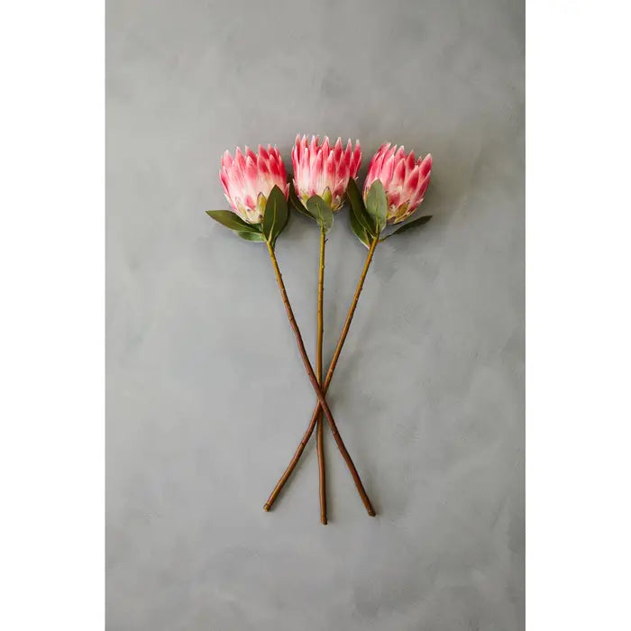 Artificial Fiori 62cm Protea Stem Pink Flower