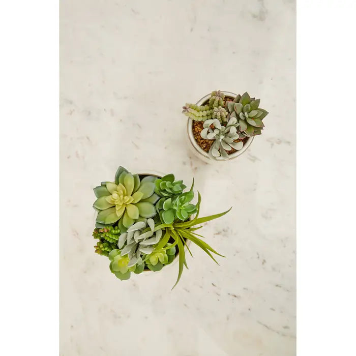 Artificial Fiori Mixed Succulents In Ceramic Pot