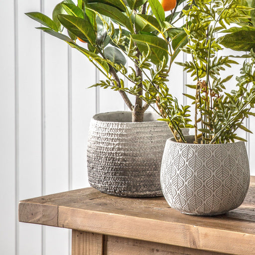 Isabella Decorative Ceramic Plant Pot Large In Grey