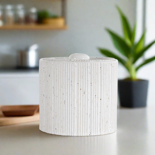 Appleton Decorative White Ceramic Jar With Lid (Large)
