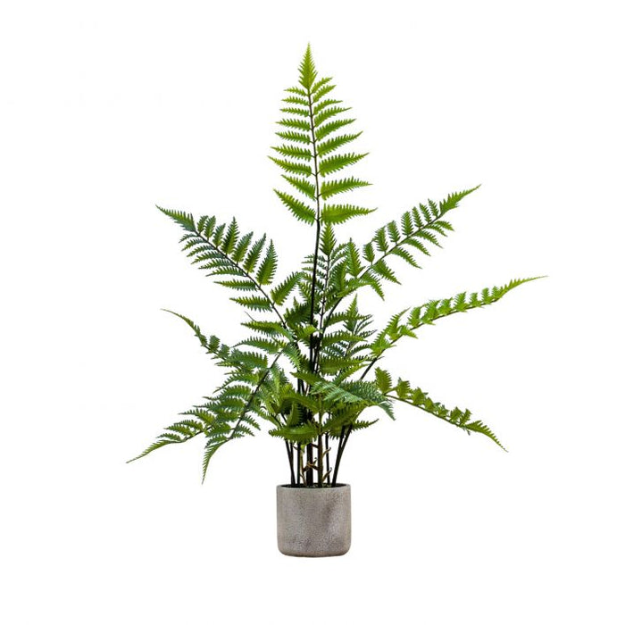 Artificial Potted Fern in Cement Pot in small