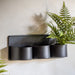 Freya Decorative Metal Wall Plant Pot Small In Black