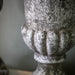 Rosie Decorative Ceramic Urn Aged Plant Pot Medium In Grey