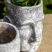 Lily Decorative Ceramic Plant Pot In Antique White
