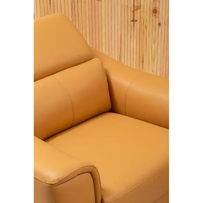 Padua Tan Leather Armchair / Accent Chair