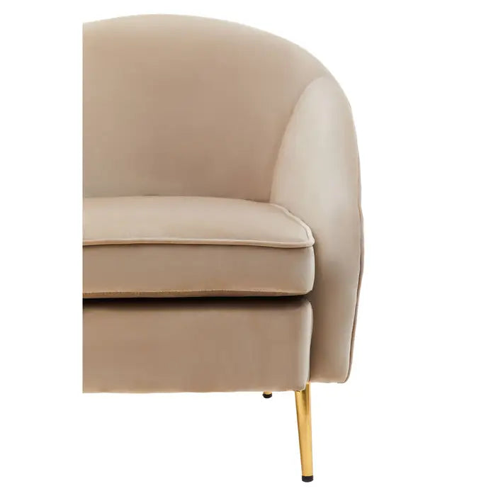 Yasmeen Mink Velvet Armchair / Accent Chair