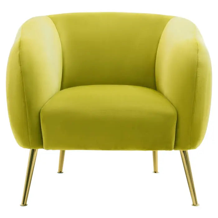 Yasmeen Olive Velvet Armchair / Accent Chair