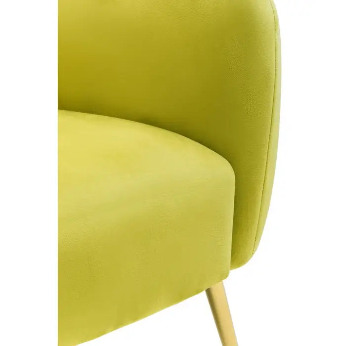 Yasmeen Olive Velvet Armchair / Accent Chair