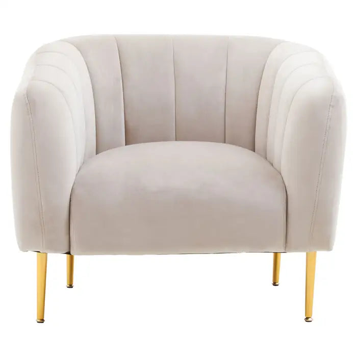 Yasmeen Silver Grey Velvet Armchair / Accent Chair