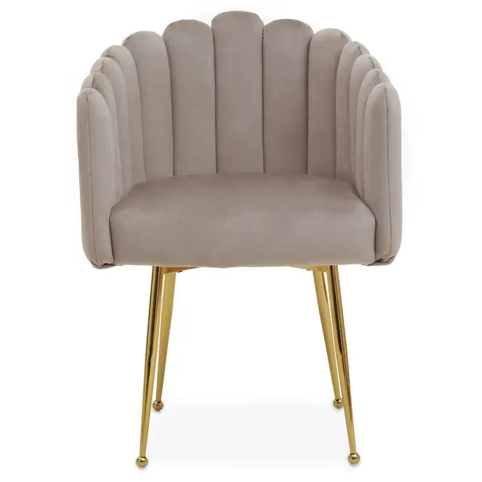 Scalloped Mink Velvet Dining Chair With Gold Legs