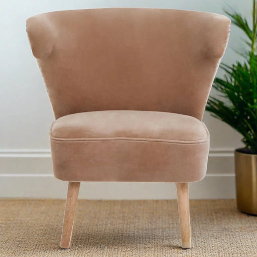 Cefena Accent Chair, Beige Velvet, Natural Wood Legs