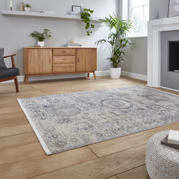Traditional Living Room Rug In Faded  Grey