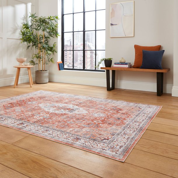 Paccidilly Terra Living Room Rug