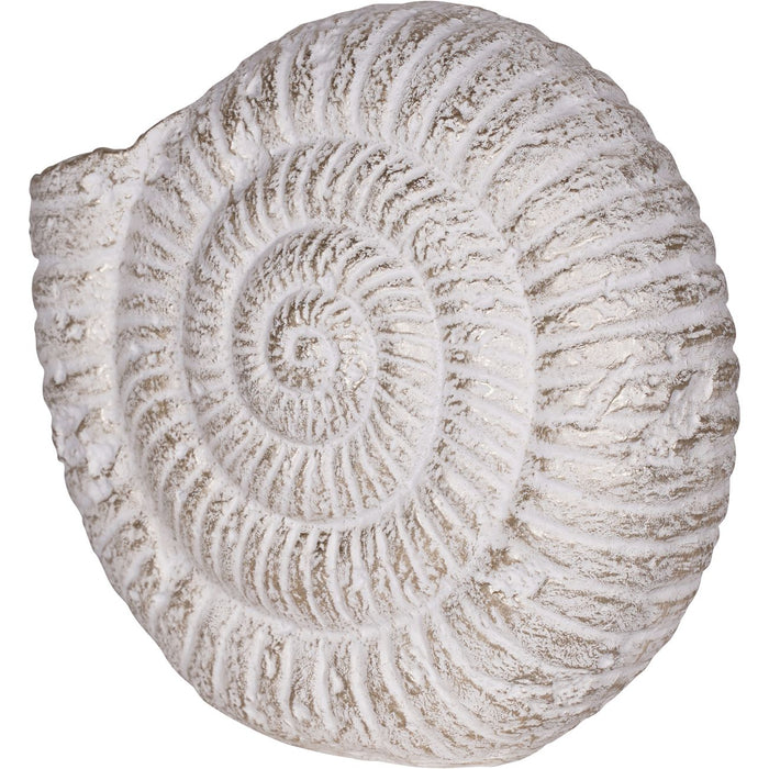 Laura Ashley Conche Shell Ornament, Distressed White - Large