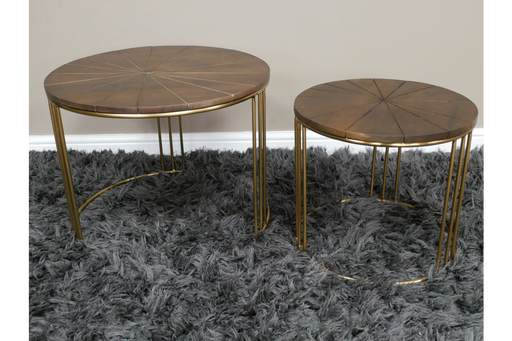 Jacksonville Coffee Table, Round Wooden Top, Gold Metal Leg, Set of 2