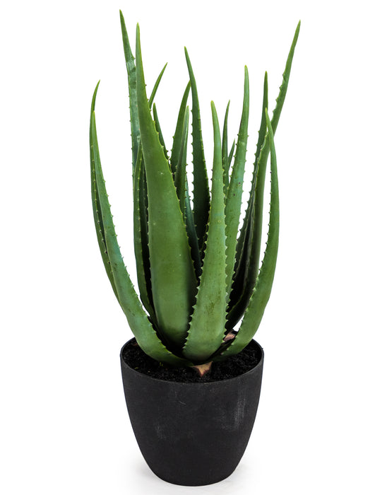 Artificial Aloe Vera Plant, Pot