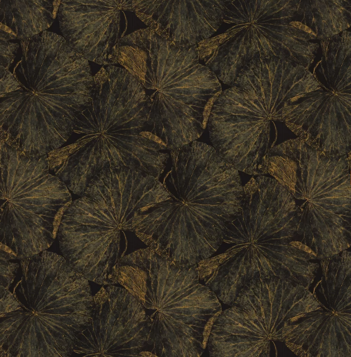 Zoffany Wallpaper - The Muse - Taisho Deco - Vine Black