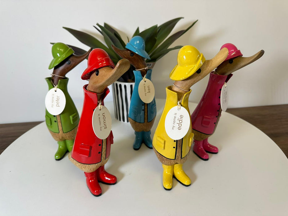 DCUK- Raincoats, Hat & Welly's Ducklings – Green
