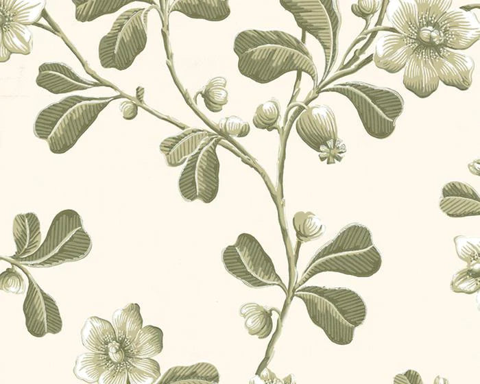 Little Greene Wallpaper -  Broadwick St Garden