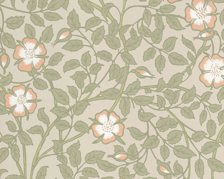 Little Greene Wallpaper - Briar Rose